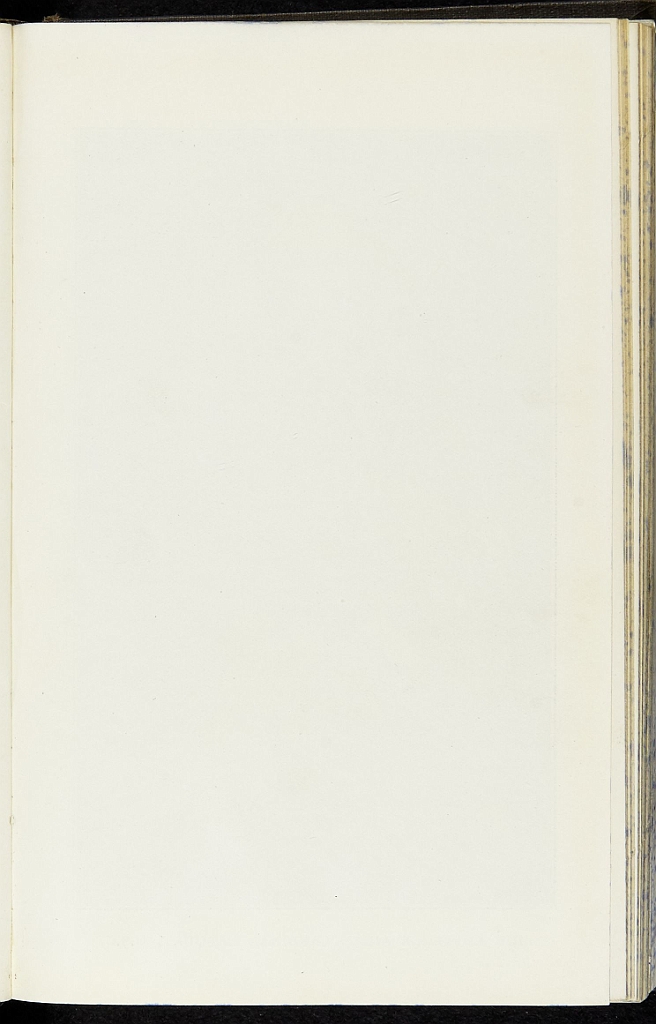 img0003.jpg